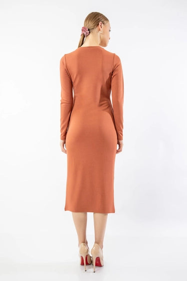 Zara Rust Long Dress